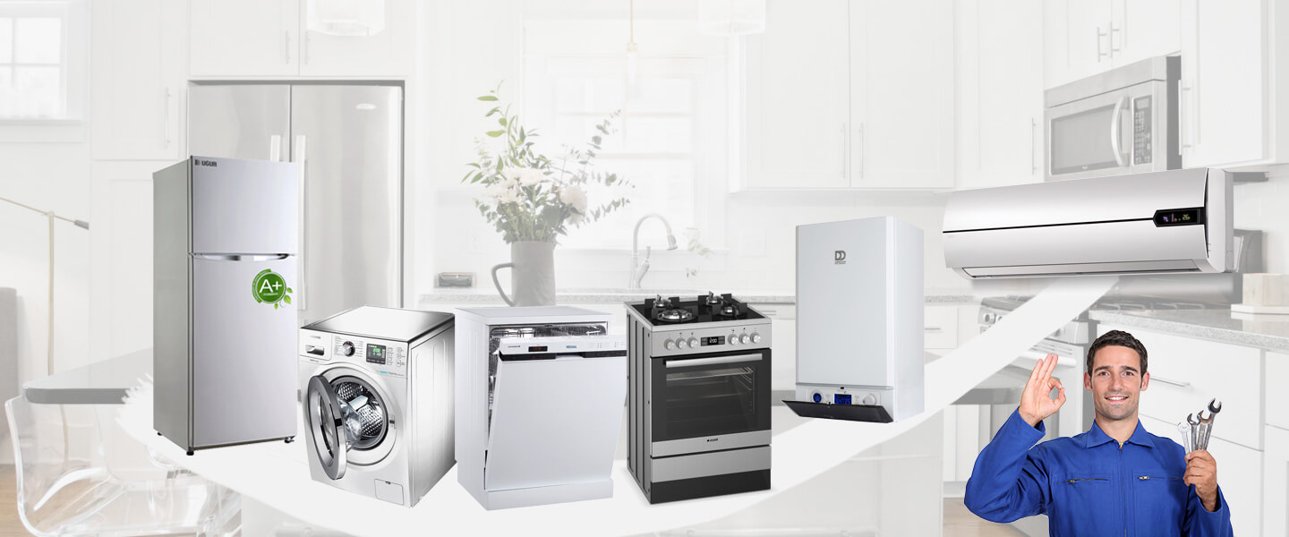 Mazgirt Dominox Servisi